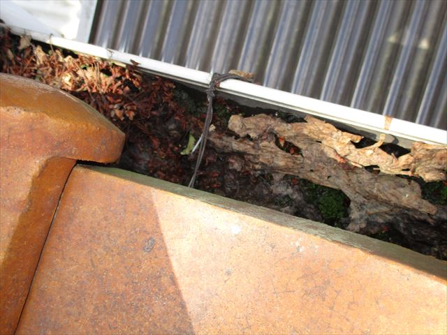 岡山市中区で軒樋も落ち葉がびっしり