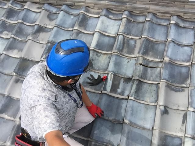瓦の浮きを確認中