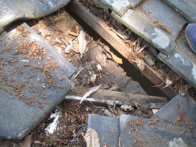 岡山県赤磐市　屋根工事　雨漏り修理　谷部点検　野地板腐っています