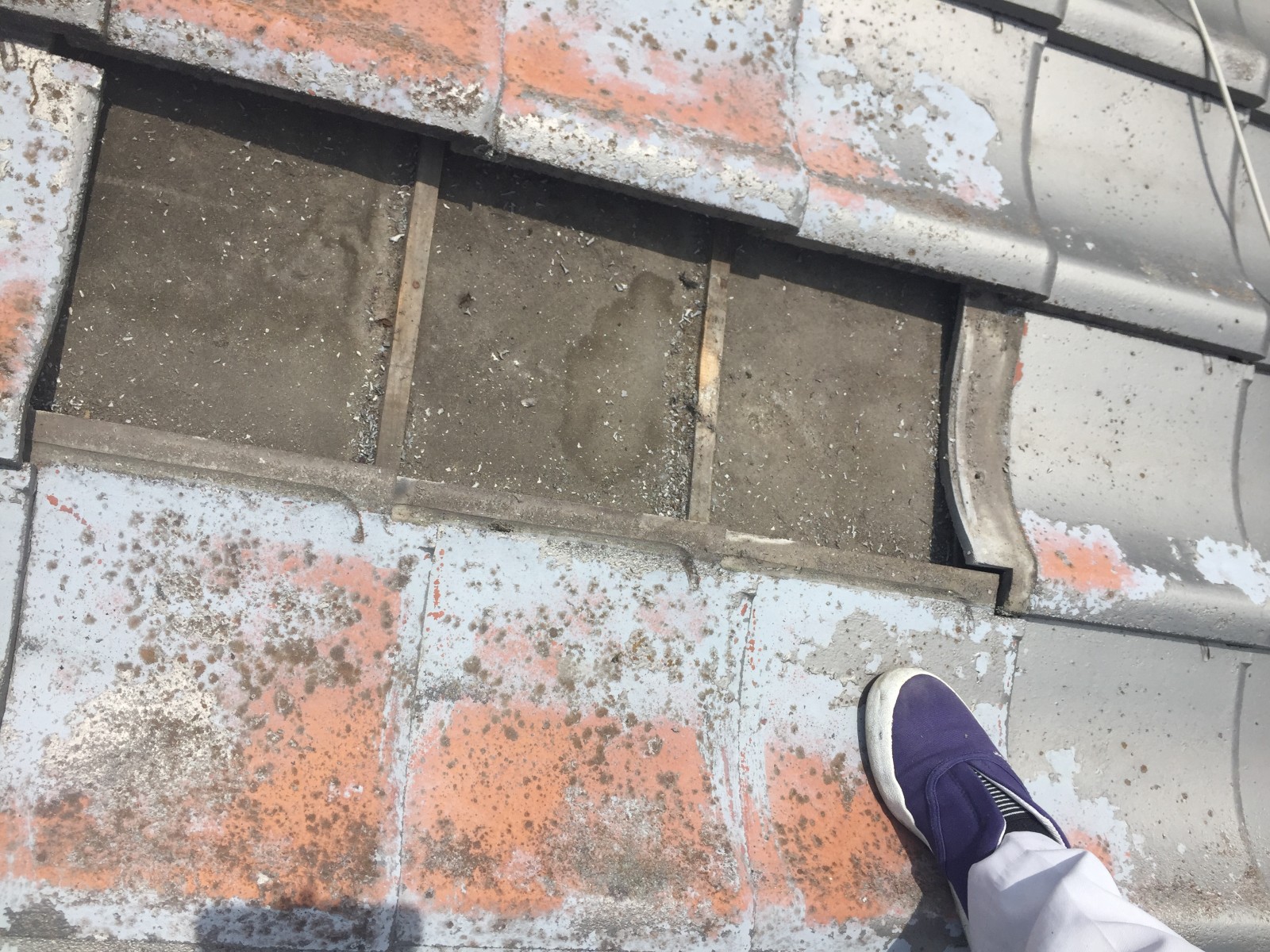 塗装がはがれた瓦を数枚めくって防水紙が見えている所