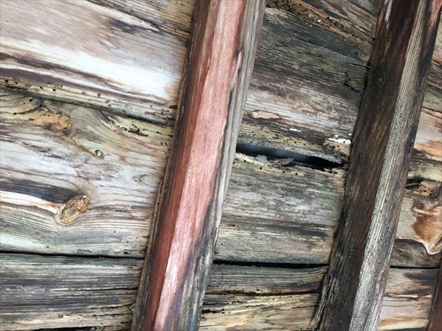 吉備中央町　雨漏り修理　野地板垂木腐っています。