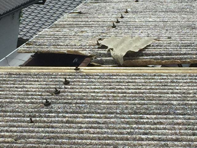 岡山市北区　屋根破損　屋根材が捲れています。
